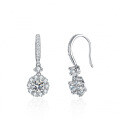 S925 Silver Moissanite Luxury Round Earrings, Factory Direct Wholesale-0-4