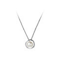 wholesale S925 Sterling Silver Pearl Choker Chain Necklace French Retro Luxury High-end Women's Neck Jewelry Y00156-0-4