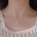 wholesale S925 Sterling Silver Small Niche Affordable Under $100 Necklace Collection, Light Luxury Women's Collarbone Chain, Minimalist and High-End Retro Choker-0-6