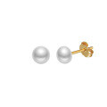 wholesale S925 Sterling Silver Cloud-Pull Earrings with 3-6mm Freshwater Pearls, Simple Design, Korean Style Factory Direct-0-12