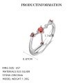 wholesale S925 Sterling Silver Zodiac Birthstone Ring For Women, New Fashion Minimalist Design-0-20