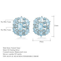 wholesale S925 Silver Luxury Design Natural Topaz Earrings, Fashionable High-End Sense Group Setting Natural Colored Gemstone Stud Earrings-Sky Blue Topaz &gt; 925 Silver