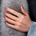 wholesale S925 Sterling Silver 4*4 Floral Women's Fashion Personality Luxury 25-Point Creative Daisy Ring-0-3