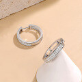 wholesale S925 Sterling Silver Cross-Border Hot-Selling New Moissanite Hoop Earrings, Minimalist and Versatile Women's Moissanite Earrings-0-1