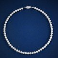wholesale Metal material, elegant and graceful new 6mm imitation pearl necklace with a gentle Republic of China style, 40cm beaded neckchain-0-5