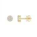 wholesale 925 Sterling Silver French-style Floral Stud Earrings, Gold Plated, Luxury Moissanite Women's Earrings, Trendy and Elegant-0-4