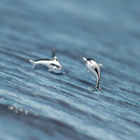 wholesale S925 Sterling Silver Nalan Earrings Women Korean Style Small Fresh Minimalist Marine Life Dolphin Girly Heart Ear Accessories G8498-S925 Silver Earrings 925 Silver