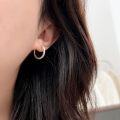 wholesale S925 Sterling Silver Round Hoop Earrings for Women, Korean Dongdaemun Light Luxury High-End Small Design Earrings-0-2