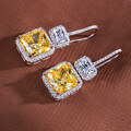 wholesale 925 Silver 5-carat Square CZ Earrings for Women, Full Diamond Luxury Style-0-1
