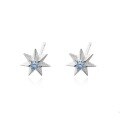 wholesale S925 Sterling Silver Blue Star Ear Studs Small Batch Design Advanced Minimalist Icy Blue Star Zircon Ear Bone Studs-0-4