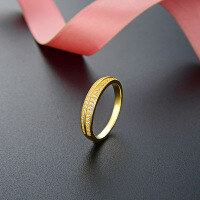 wholesale 925 Sterling Silver Light Luxury Minimalist Design Double Row Zircon Ring Pinky Index Finger Niche High-End Ring for Women-Yellow Gold Ring  Size 22