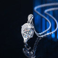 S925 Sterling Silver Moissanite Dolphin Pendant Necklace-0-0