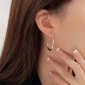 wholesale S925 Sterling Silver Heavy Workmanship Circle Hoop Earrings Women New Trend High-End Minimalist Style Earrings-0-4