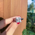 S925 Silver Princess-Cut Zirconia Fashion Geometric Ring-0-0