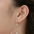 wholesale S925 Sterling Silver INS Style New Rectangle Zircon Design Elegant and Fashionable High-End Earrings Wholesale-0-3