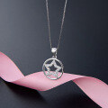 wholesale S925 Sterling Silver Zodiac Pendant with Zircon Star Minimalist Women's Necklace Wholesale from Source Factory-0-2