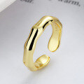 wholesale S925 Sterling Silver Irregular Minimalist Bamboo Knot Open Ring French Style Ins Internet Celebrity Design Sense Ring-0-3