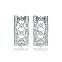 wholesale 925 Sterling Silver Zircon Inlaid Women's Exquisite European Style Semi-Hoop Earrings Earrings-Platinum 925 silver