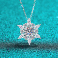 S925 Sterling Silver Moissanite Women's Heart Hexagon Pendant Necklace-0-4