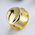 wholesale S925 Sterling Silver Irregular European Minimalist Wide Band Open Ring Ins Niche Design Statement Ring-0-1