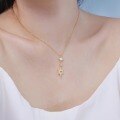 wholesale S925 Sterling Silver Korean Style Light Luxury Women's Necklace with Exquisite Australian Gemstone Hexagram Pendant, Delicate Collarbone Chain-0-2