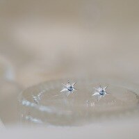 wholesale S925 Sterling Silver Blue Star Ear Studs Small Batch Design Advanced Minimalist Icy Blue Star Zircon Ear Bone Studs-Silver 925 silver