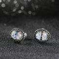 wholesale 925 Silver New Style Oval-Cut Flash Zircon Stud Earrings for Women, Versatile High-End Fashion Jewelry Wholesale-0-3