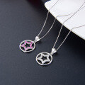 wholesale S925 Sterling Silver Zodiac Pendant with Zircon Star Minimalist Women's Necklace Wholesale from Source Factory-0-1