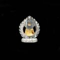 wholesale Gold-plated 925 Silver High Carbon Diamond Dainichi Nyorai, Goat and Monkey Birthstone Buddha, Zodiac Guardian Buddha, Baby Buddha Pendant-0-3