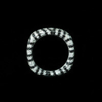 wholesale 925 Silver Gold Plated Ring with High Carbon Diamond Zebra Pattern, Yang Zi Same Style Exquisite Fashion Versatile Jewelry Women's Ring-Zebra print  130 catties or less US size 8 (Hong Kong size 16-17 EU size 57) Ring length approximately 57mm