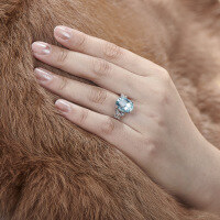 wholesale S925 Sterling Silver Cocktail CZ Ring Light Luxury Engagement Wedding Ring for Women-[Clearance Free Shipping] G Style US Size 9.5