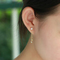 wholesale 925 Sterling Silver Korean Version Fashionable and Elegant Star Zircon Tassel Earring Simple Meteor Earring New Model for Drop Shipping Single Piece-0-0