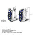 wholesale S925 Silver Natural Garnet Blue Sapphire Earrings Light Luxury Fashion Personalized Design Gemstone Stud Earrings-0-7