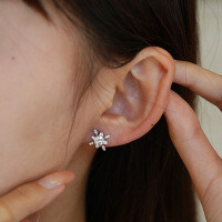 S925 Silver Moissanite Stud Earrings, Star Queen Source Factory Wholesale-50 points (D color moissanite)  925 silver