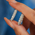 925 Silver Moissanite Earrings, Fashionable and Elegant Cross-Border Personality Studs, Amazon Best-Seller-0-2