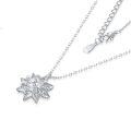 wholesale S925 Silver Amazon Cross-Border Best-Seller Women's Necklace Jewelry, High-End Pendant Silver Accessory, Unique and Versatile Ins Style-0-4
