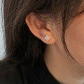wholesale S925 Sterling Silver Inlaid Zircon Four-Leaf Clover Ear Studs for Women, Exquisite and Minimalist Style Earrings-0-4