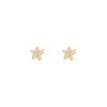 wholesale S925 Sterling Silver Small Petal Colored Zircon Earrings For Women, Elegant Cross-border Floral Design-0-5