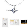 S925 Silver Moissanite Detachable Choker Necklace Wholesale-0-14