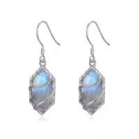 TOUPOP Sterling Silver Gemstone Hexagon Drop Dangle Earrings for Women-color_name:Labradorite