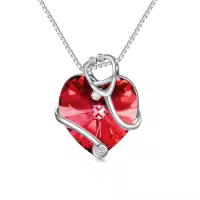 TOUPOP Sterling Silver Crystal Stethoscope Necklace Nursing Jewelry Gifts-color_name:01-January