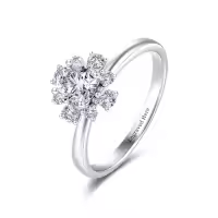 TOUPOP 925 Sterling Silver Moissanite Round Cut D Color Vvs1 Engagement Ring-style_name:A Moissanite