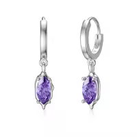 TOUPOP Sterling Silver Stone Stud Earrings Promise Jewelry Gifts For Women-color_name:Hoop with Crystal Earring