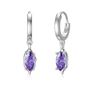 Hoop with Crystal Earring