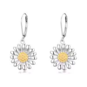 2-Daisy