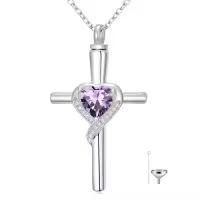 TOUPOP Sterling Silver Crystal Cross Urn Necklace Memorial Keepsake Jewelry-color_name:02-February-Amethyst