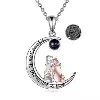 TOUPOP Sterling Silver Crystal Sisters Necklace Gift For Women Friendship-style_name:Style 2-Two Sisters-I Love You 100 Languages