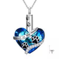 TOUPOP Sterling Silver Crystal Urn Necklace For Ashes Dog Hummingbird Cardinal-style_name:Paw print