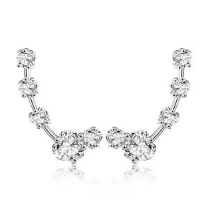 Heart Crawler Earring
