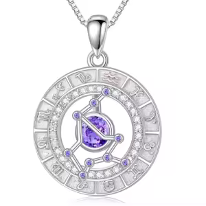 2-Aquarius(1.20-2.18)-Amethyst